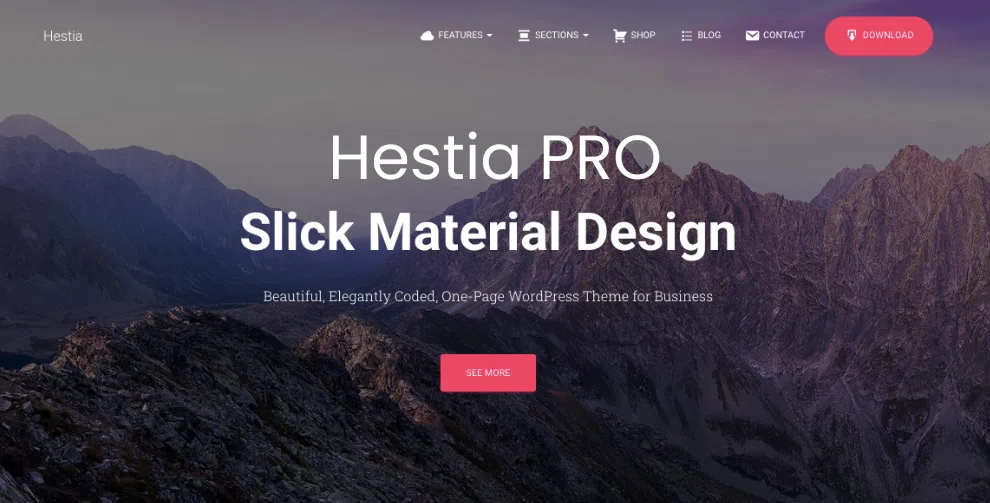 Hestia Top WordPress Theme in 2024