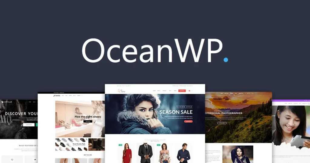 oceanwp Top WordPress Theme in 2024